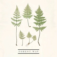 love you. 💌 (live)