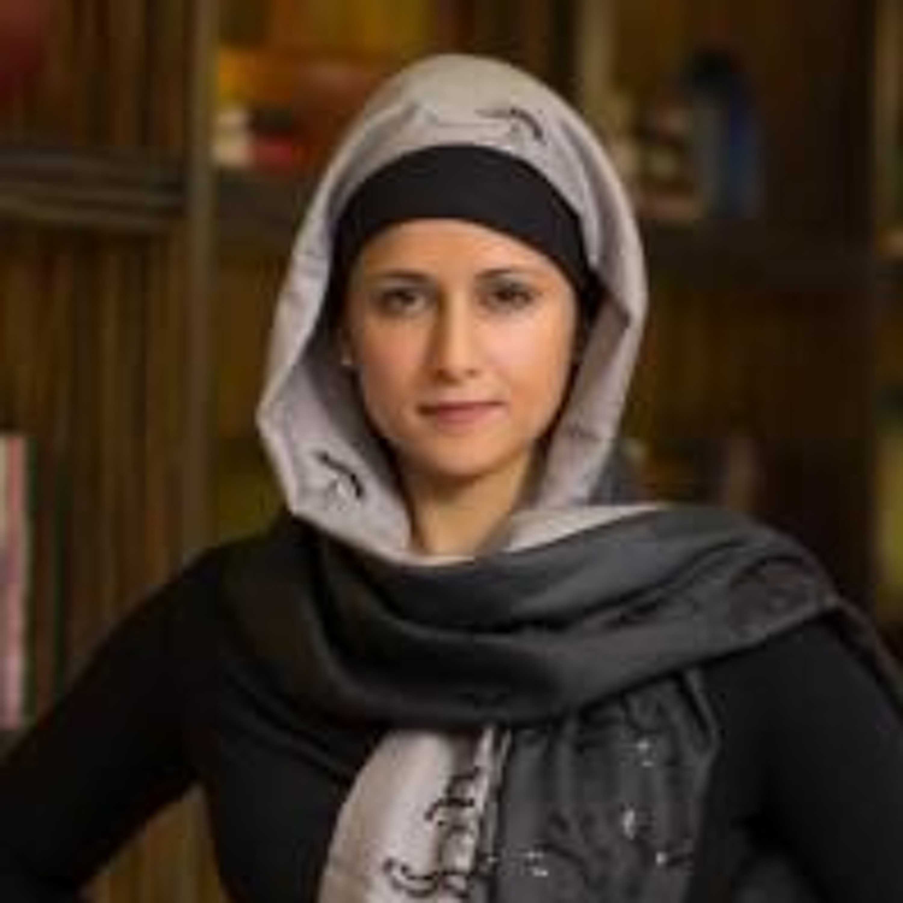 POMEPS Middle East Political Science Podcast