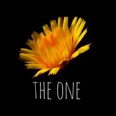 The One