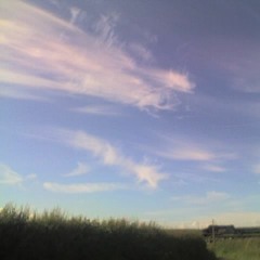 India ~ Words & Music Avril Yospa Harwood