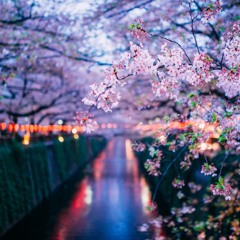 Japanese Pop