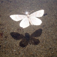 JAG SAKNAR DIG MINDRE OCH MINDRE COVER