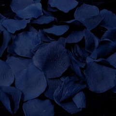 Navy Blue - Hasani (Cover)