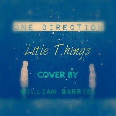 Litle Things - One Direction (cover) :3