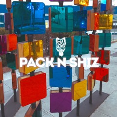 PACK N SHIZ