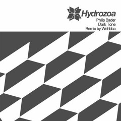 Philip Bader - Dark Tone(Original Mix) [Hydrozoa]