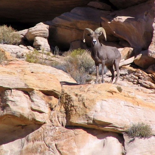 Optimistic- Bruiser Å Felix Prod. Serge Crown x MiiiKXY