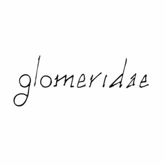 "Glomeridae" [#2 Giovanni Chirico, Walter Forestiere]