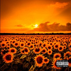 XXXTENTACION~Everybody Dies In Their Nightmares (Remix): Night Time