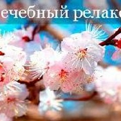 Лечебная успокаивающая китайская музыка от депрессии, нервозов. Для умиротворения тела и духа.