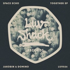Space Echo - Party Together | LUV026