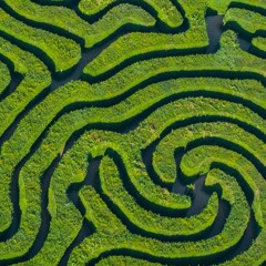 Lost & Found | Dev ft. Toon |