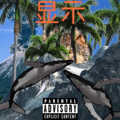 DISPLAY PROD.B O O K O F E L I
