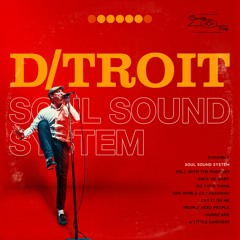 D/troit - ROLL WITH THE PUNCHES