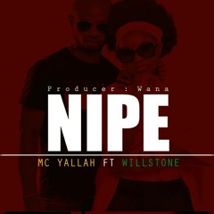 Nipe