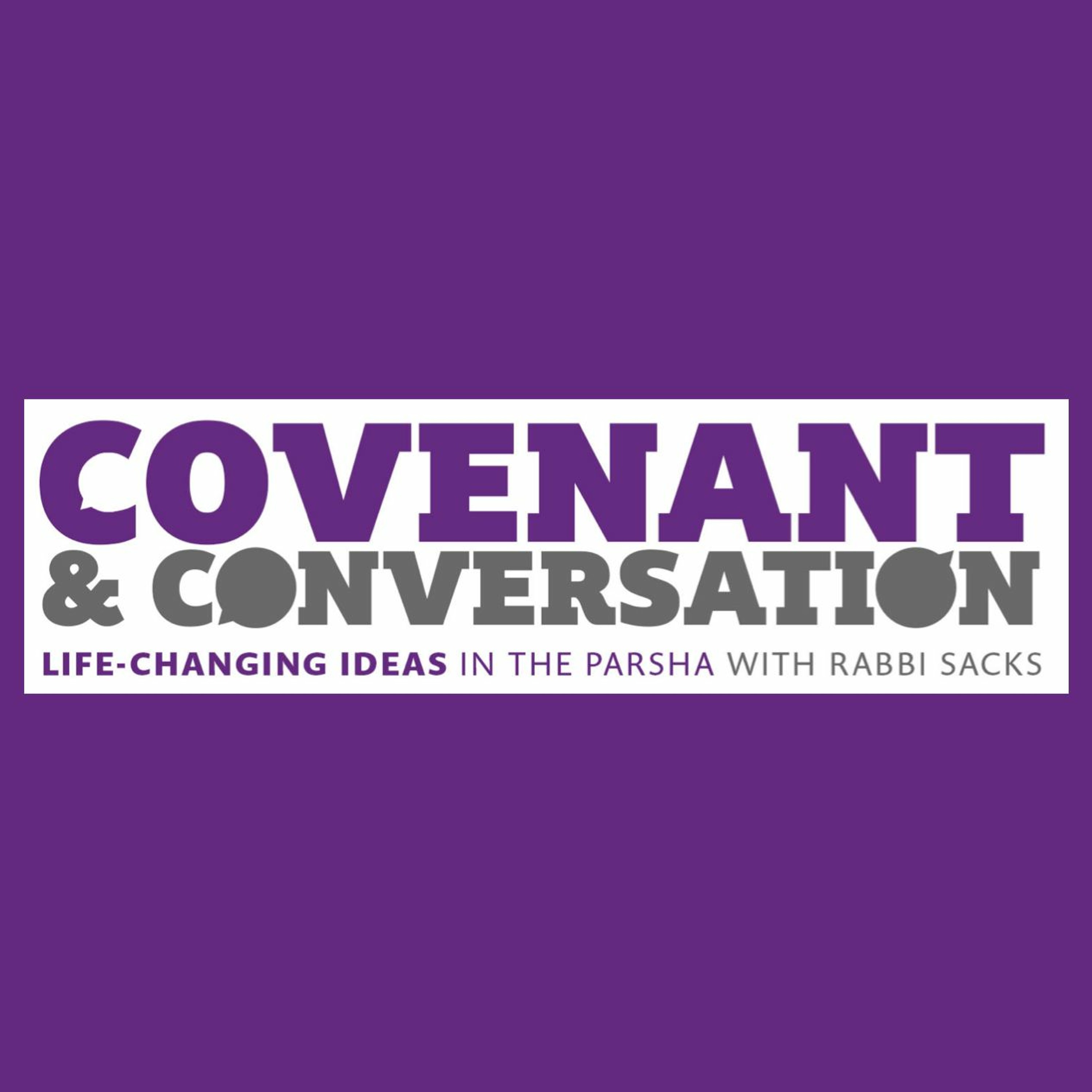 The Trace of God | Noach, Covenant & Conversation 5778