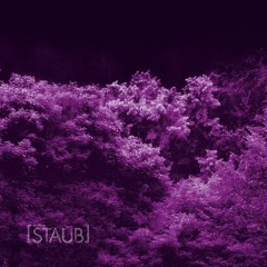 STAUB #47