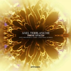Axel Terblanche - These Spaces (Push'n'Ball Remix)