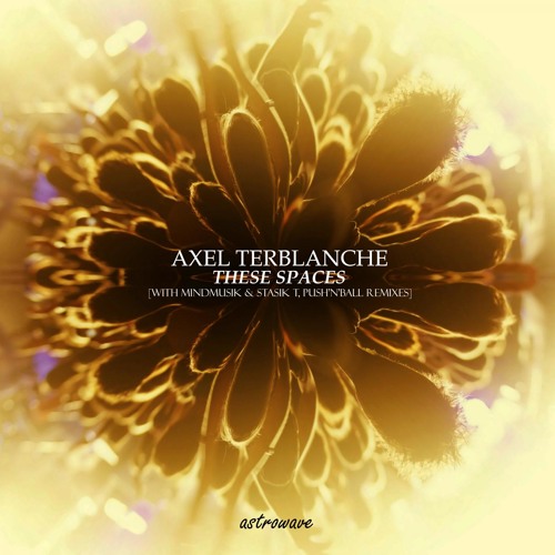 Axel Terblanche - These Spaces (Push'n'Ball Remix)