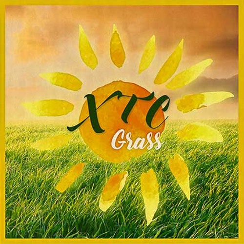 XTC - Grass (Rhythm Scholar Remix)