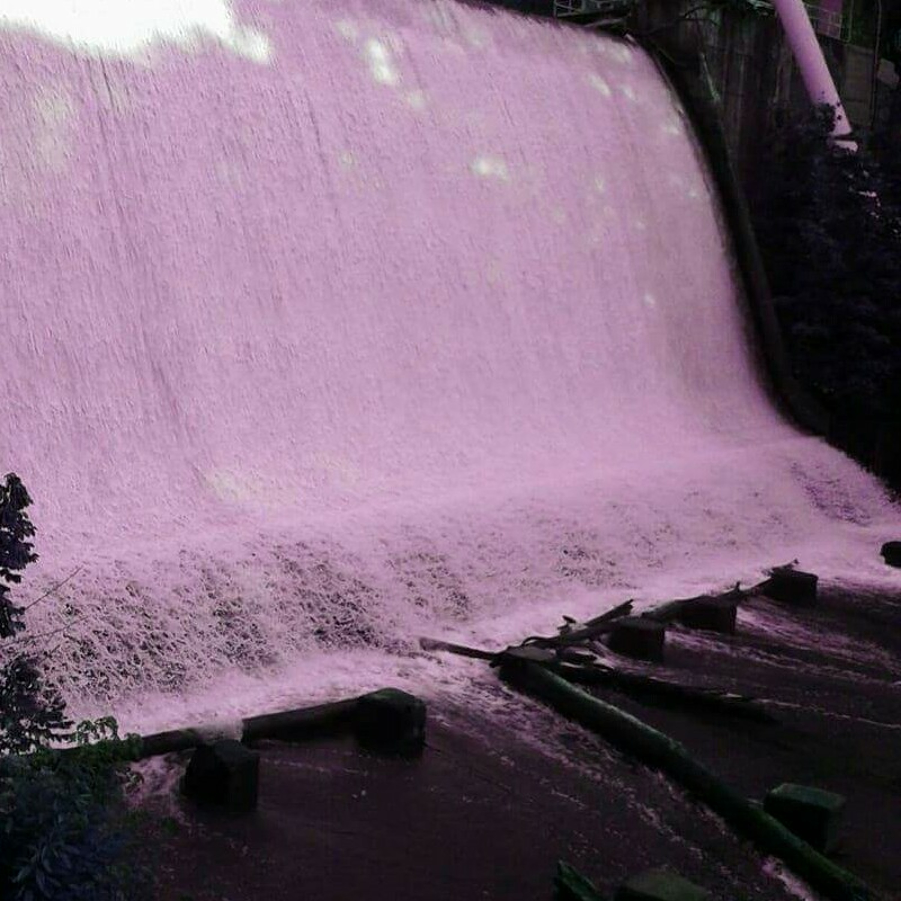 Kuyahn
