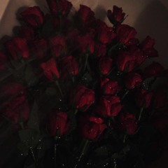 Love Stories [prod. Noxx]