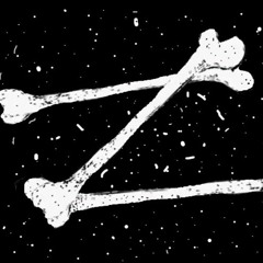 La Piraterie du Z   (track pc en cours 2017)