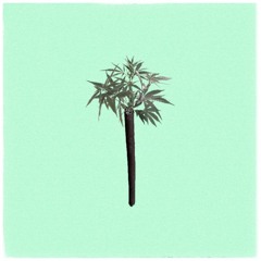 HERB$ - PALM TREE (prod. herb$)