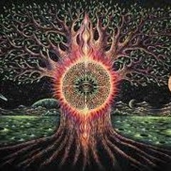 In Appropiate Trip Situations