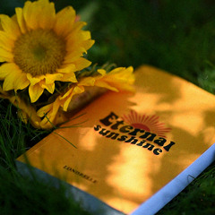 Eternal Sunshine Introduction