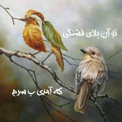 پرواز همای _ دیوانه تر شدم
