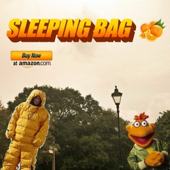 sLEEEEPING BAG -- BECK COVER