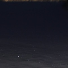 the big dipper (cut 1)