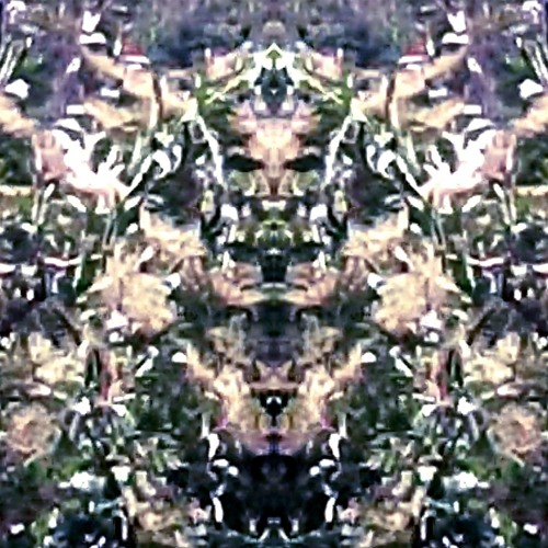 Edis Damaro - Lutte Et De L'amour [6klop Remix]