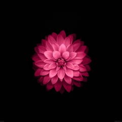 Bernie Allen - Soundscape [Buy on Beatport]