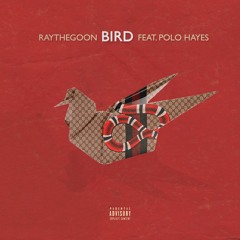 Bird feat. Polo Hayes
