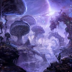 4.5 Confessions #23 Kill a dream