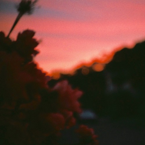lonely (rough)