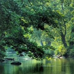 As We Laid Down By The River (Live Loop)