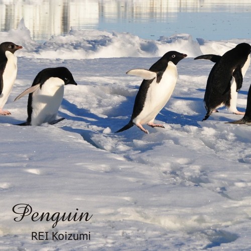 Penguin