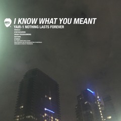 I KNOW WHAT YOU MEANT