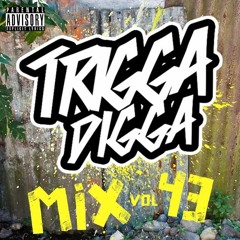 Trigga Digga Mix Vol. 43 (Hip-Hop, Dancehall & Afrobeat Mixtape 2017)