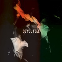 Bearcubs - Do You Feel