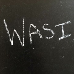 GBA 314 Wasi