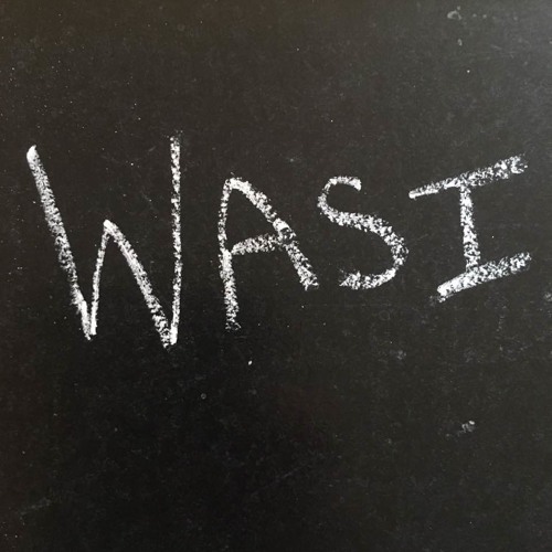 GBA 314 Wasi