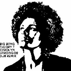 Big Bang Theory Feat. Carolyn Harding - When You Touch Me (O2 Dj's Remix)