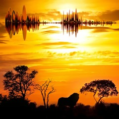 Kruger National Park