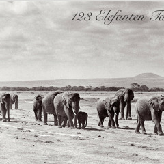 123 Elefanten Tanzen Tango im Takt