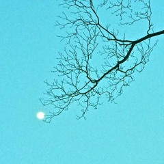 Endlessbirthday (digest) 2017