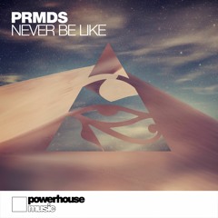 PRMDS ft. C. - Never Be Like